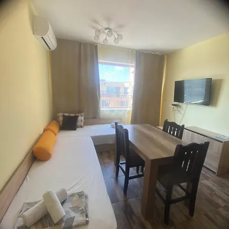 Amadeus 5 써니비치